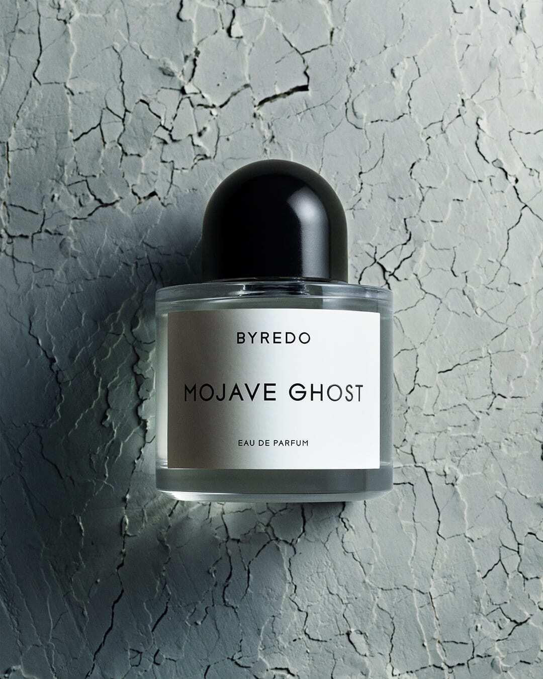 MOJAVE GHOST
